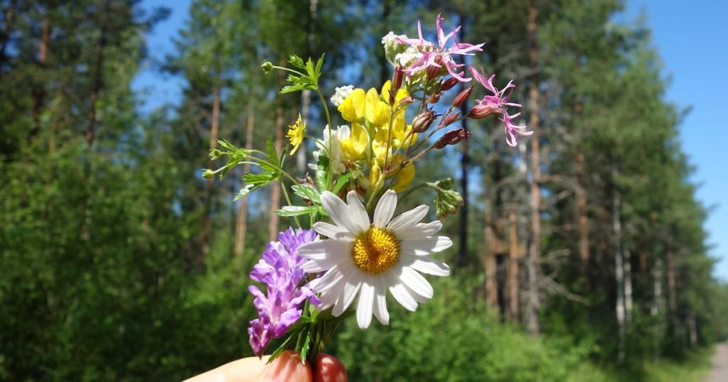 フィンランドの夏祭りの花束