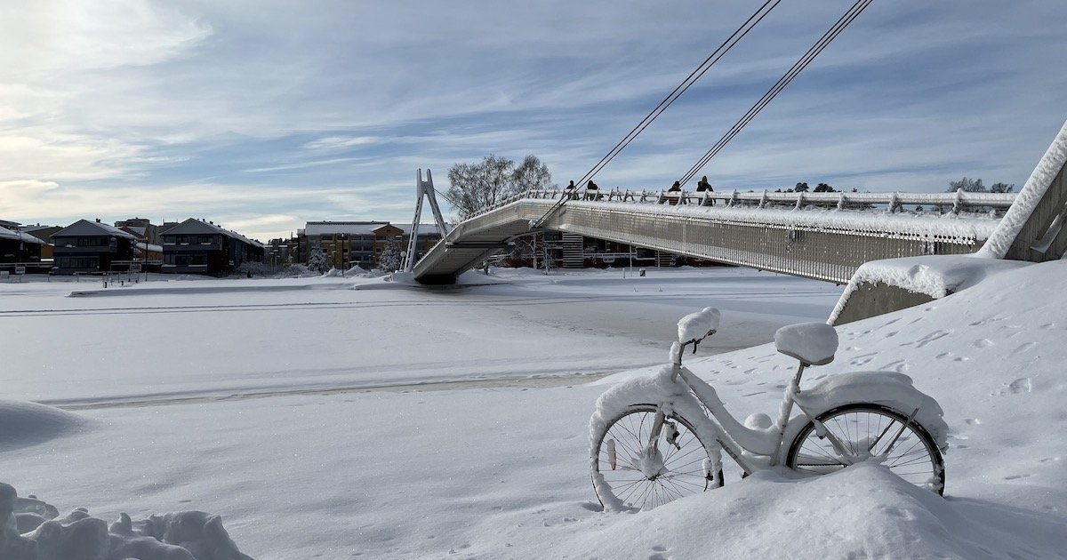 雪に覆われた自転車